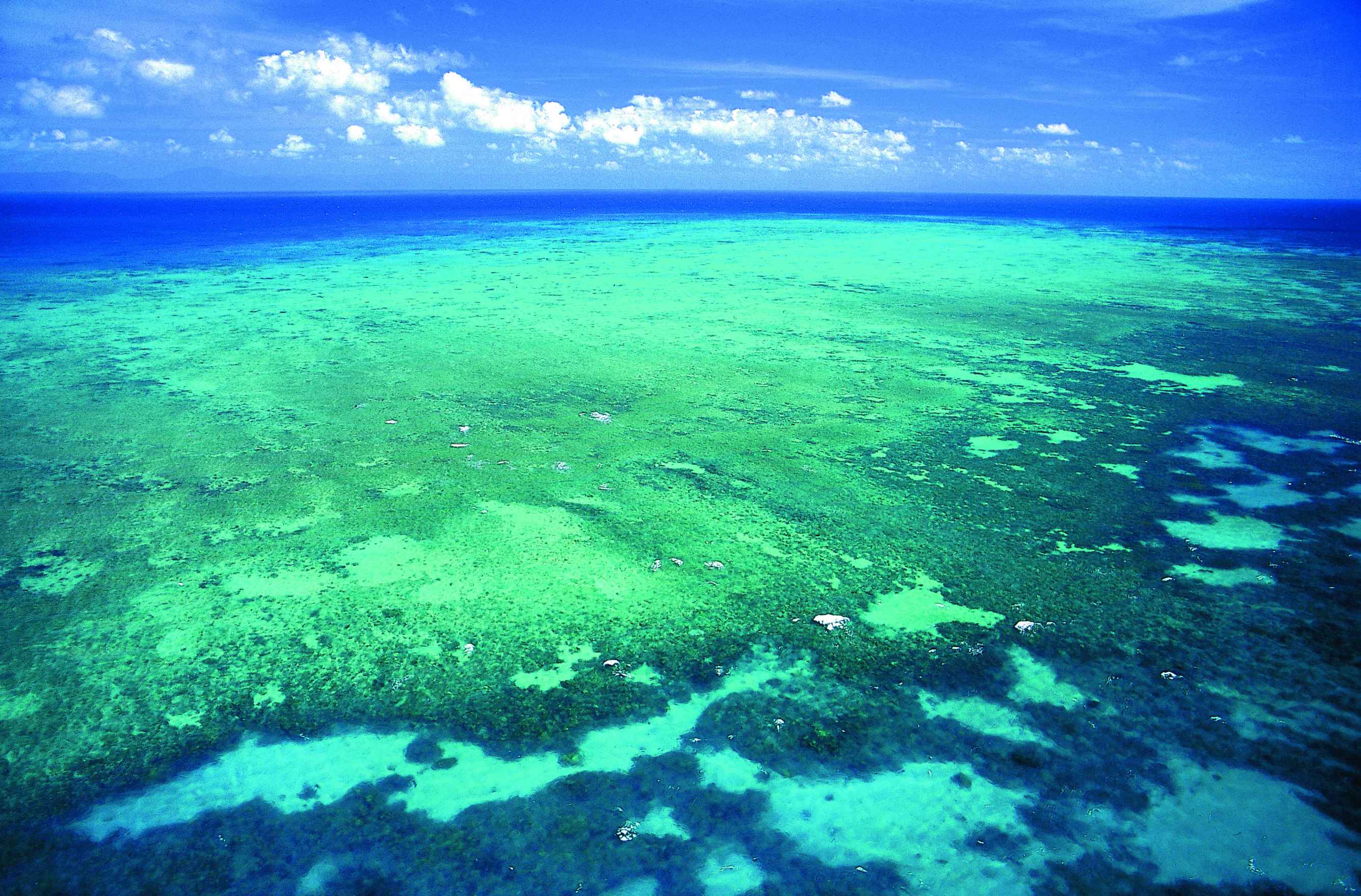 Grande Barrière de corail.