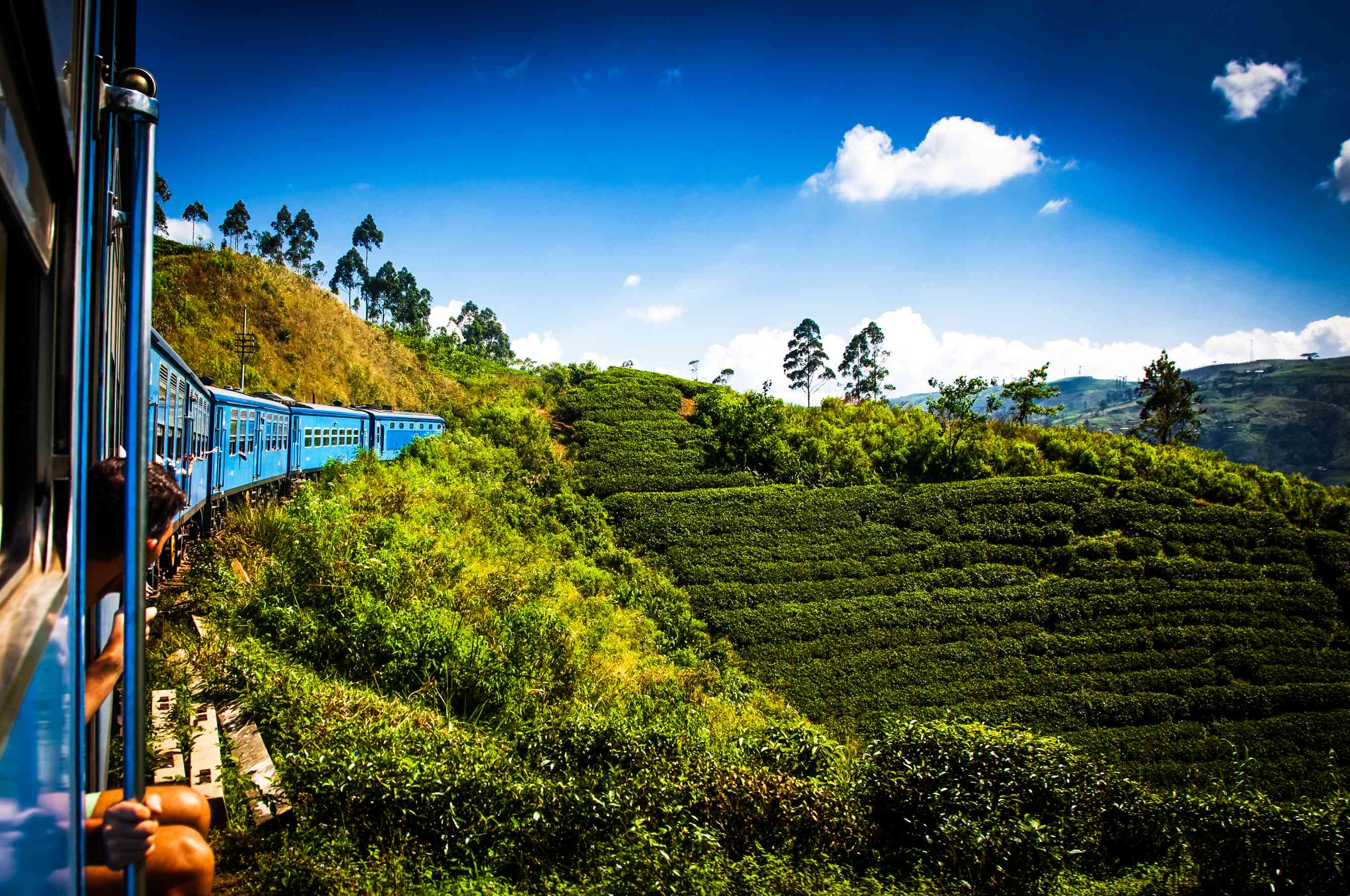 Train traversant les plantations de thé de Nuwara Eliya.