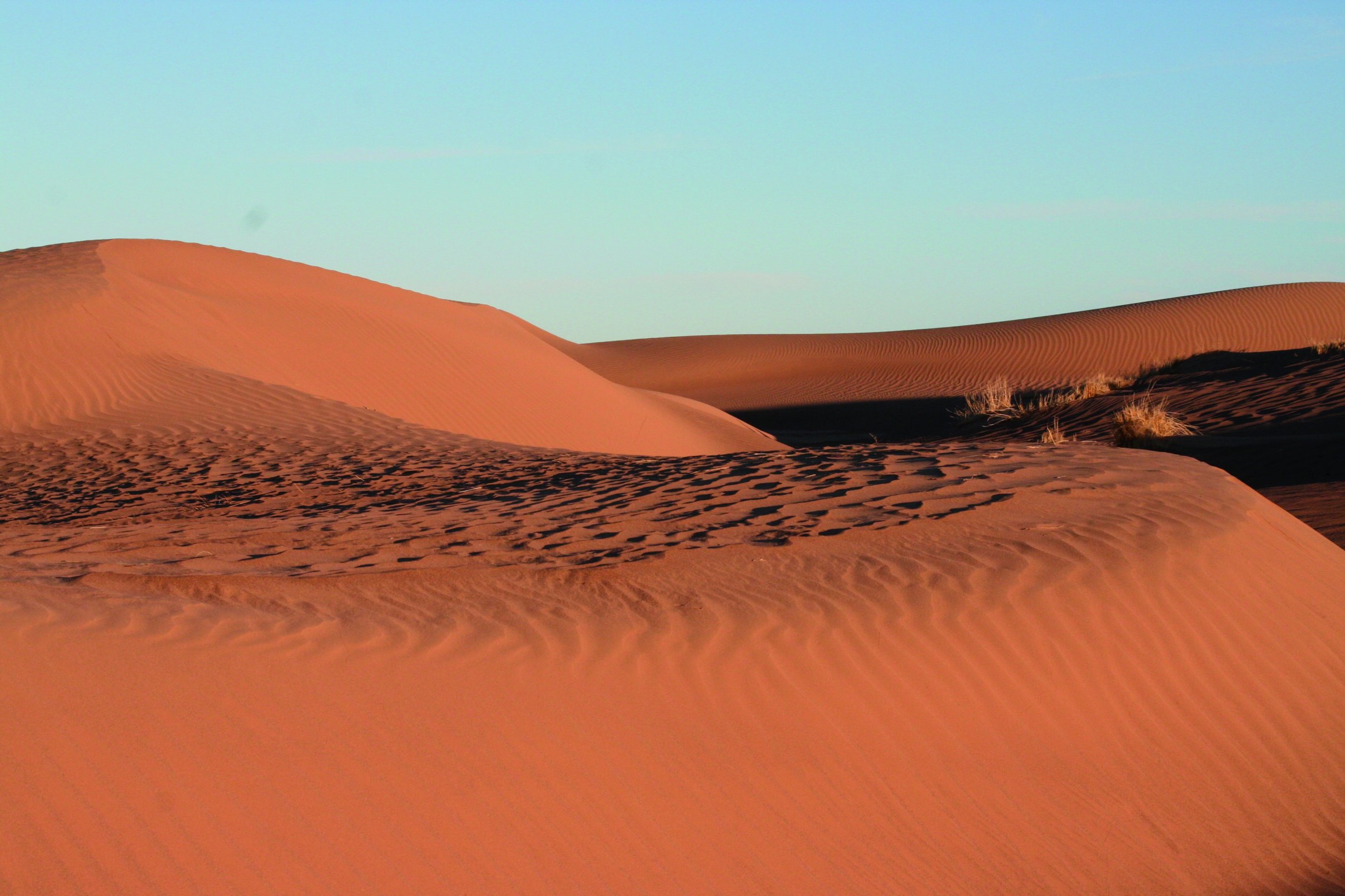 Lumière sur le sable des dunes de M'Hamid.
