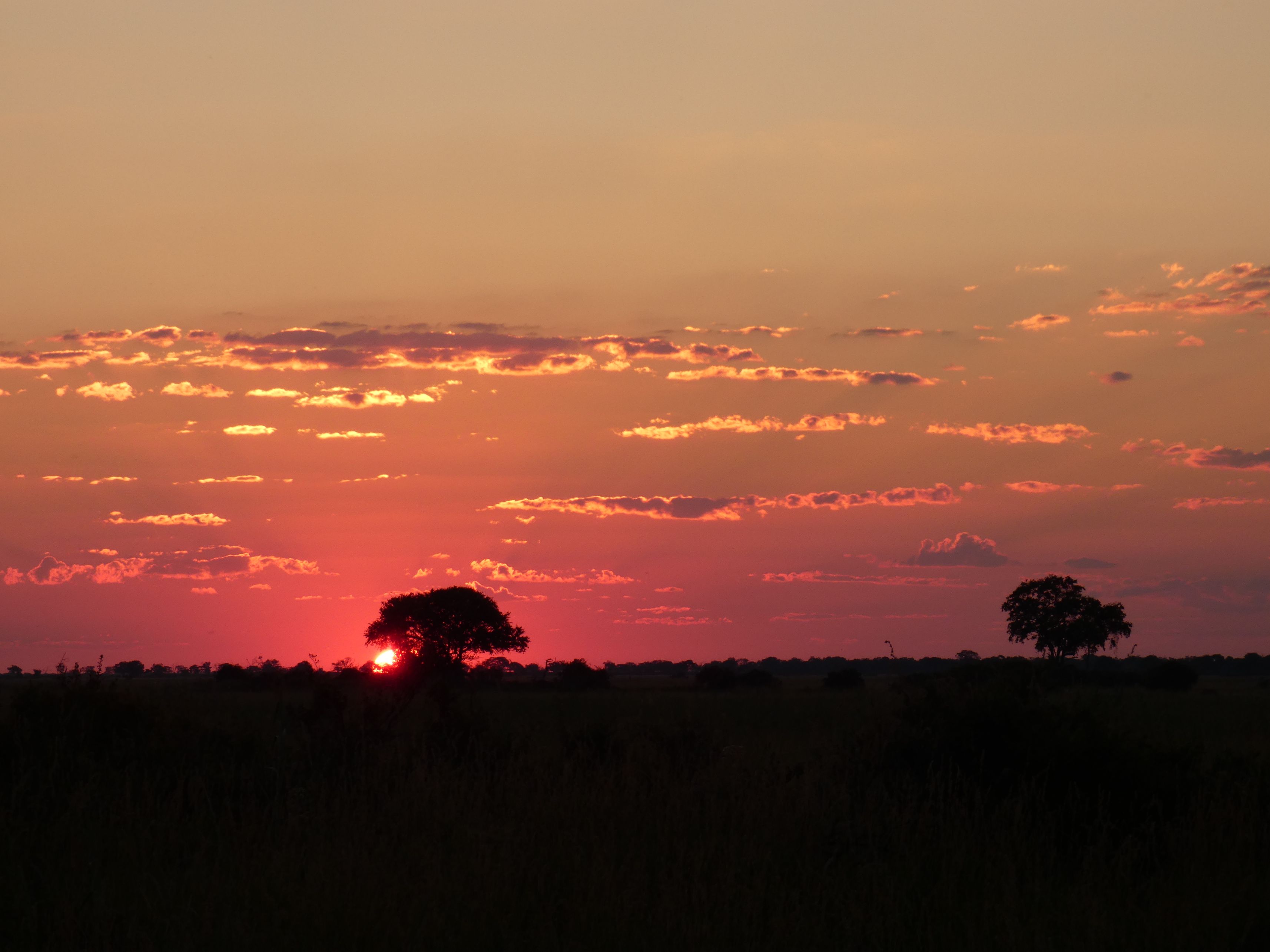Paysage namibien au coucher du soleil.
