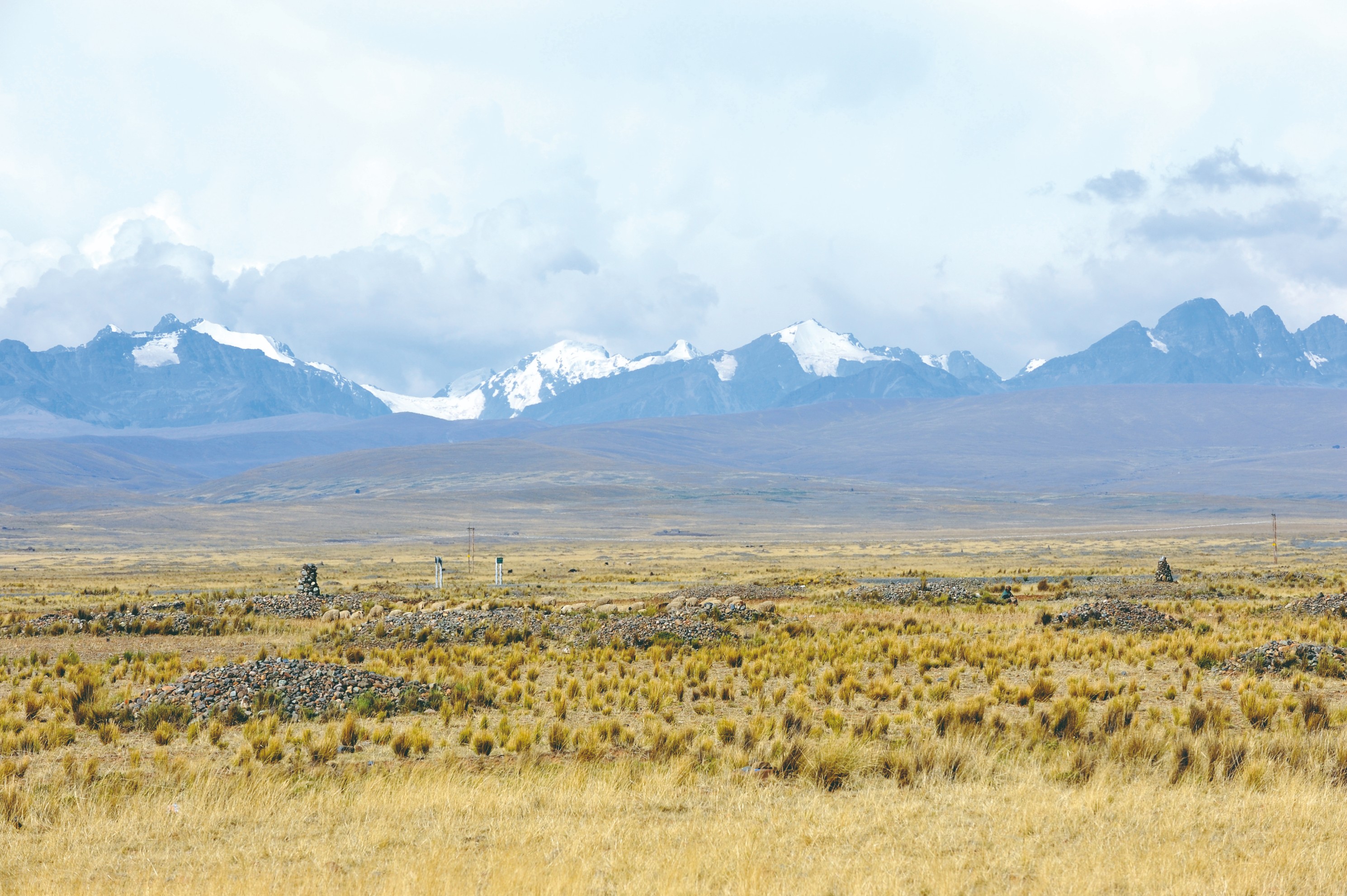 Altiplano de la région de La Paz.