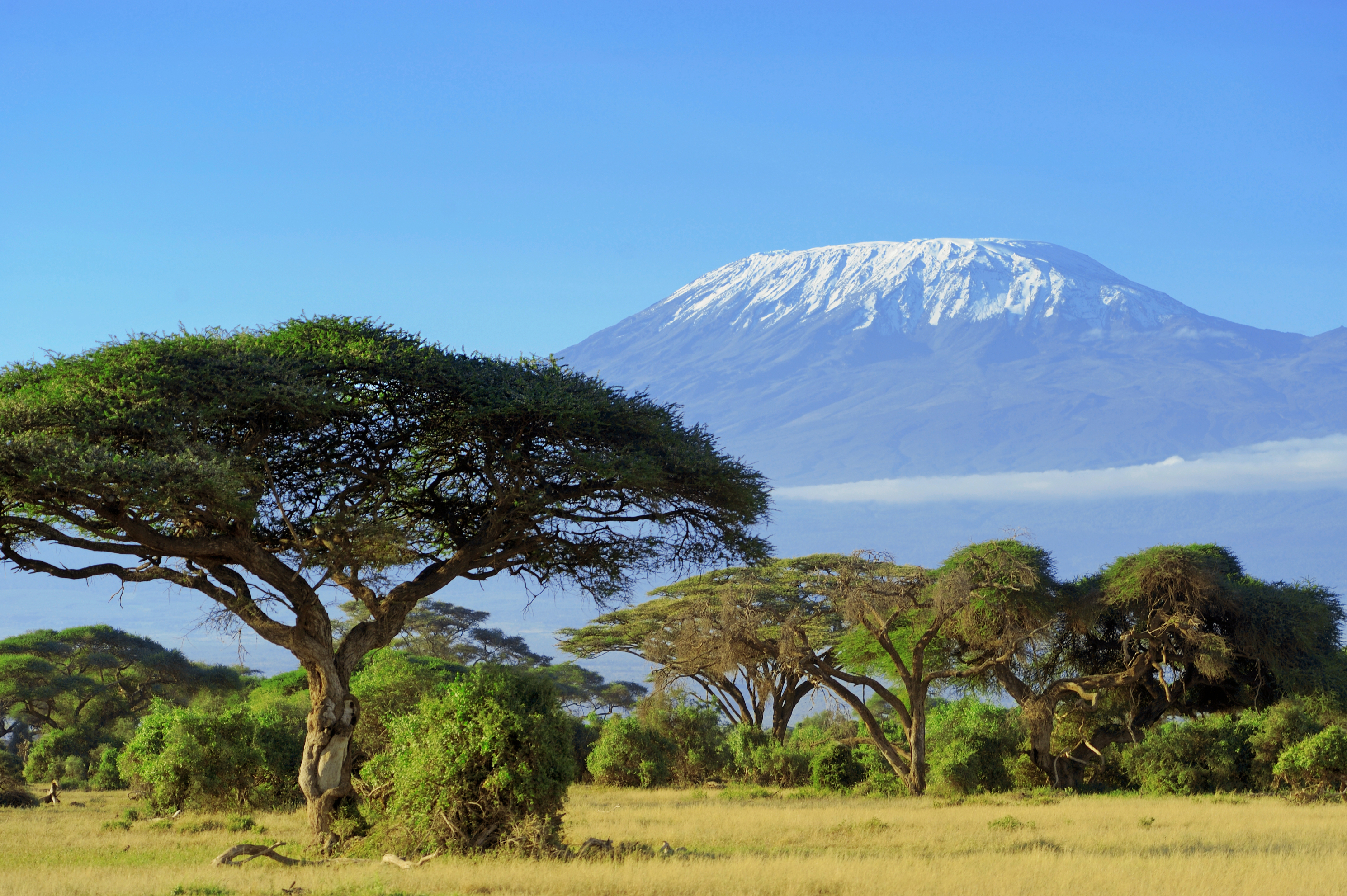 Kilimandjaro.