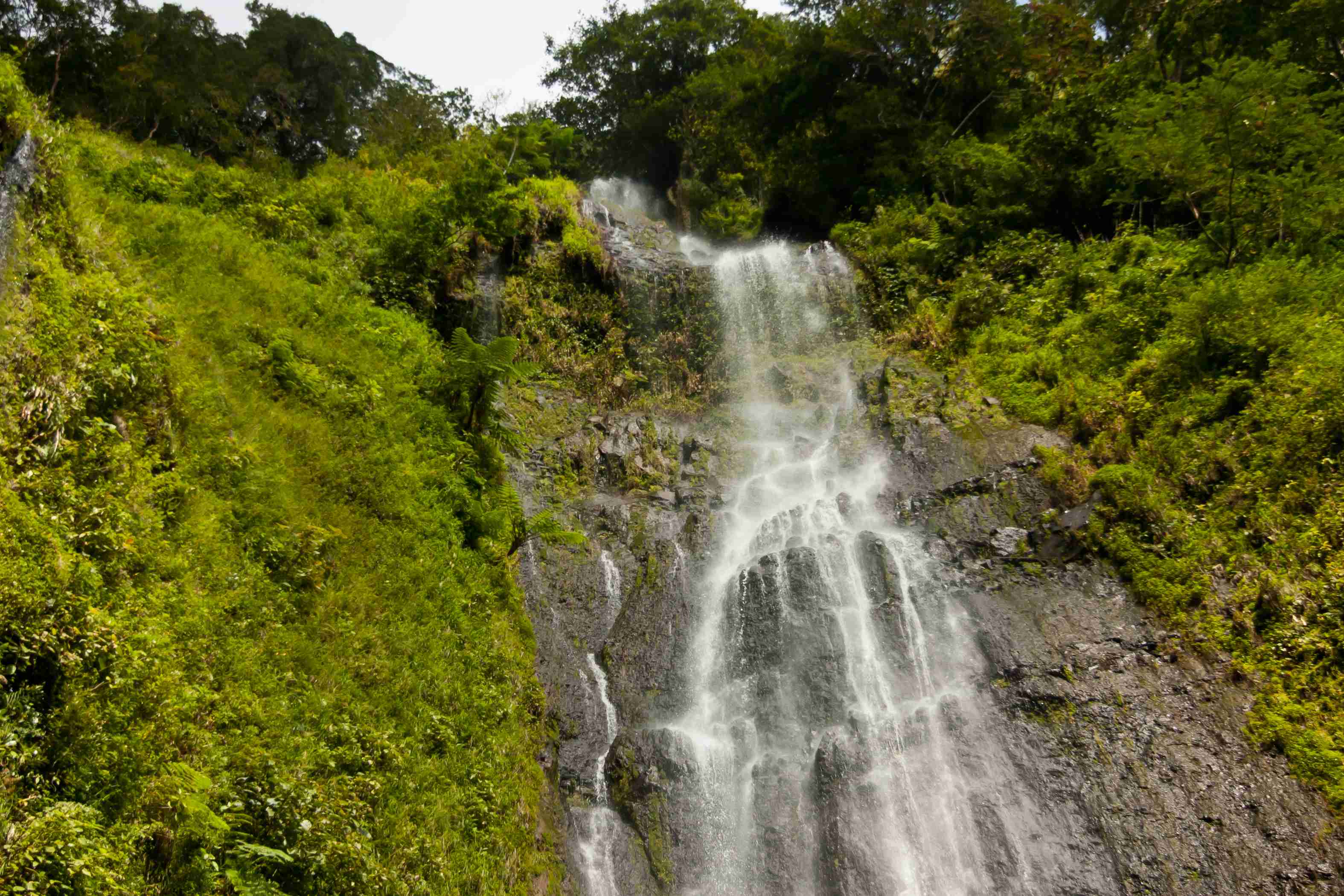 CASCADE SAN RAMÓN (site naturel (avec horaires et/ou payant) - MÉRIDA / Nicaragua)