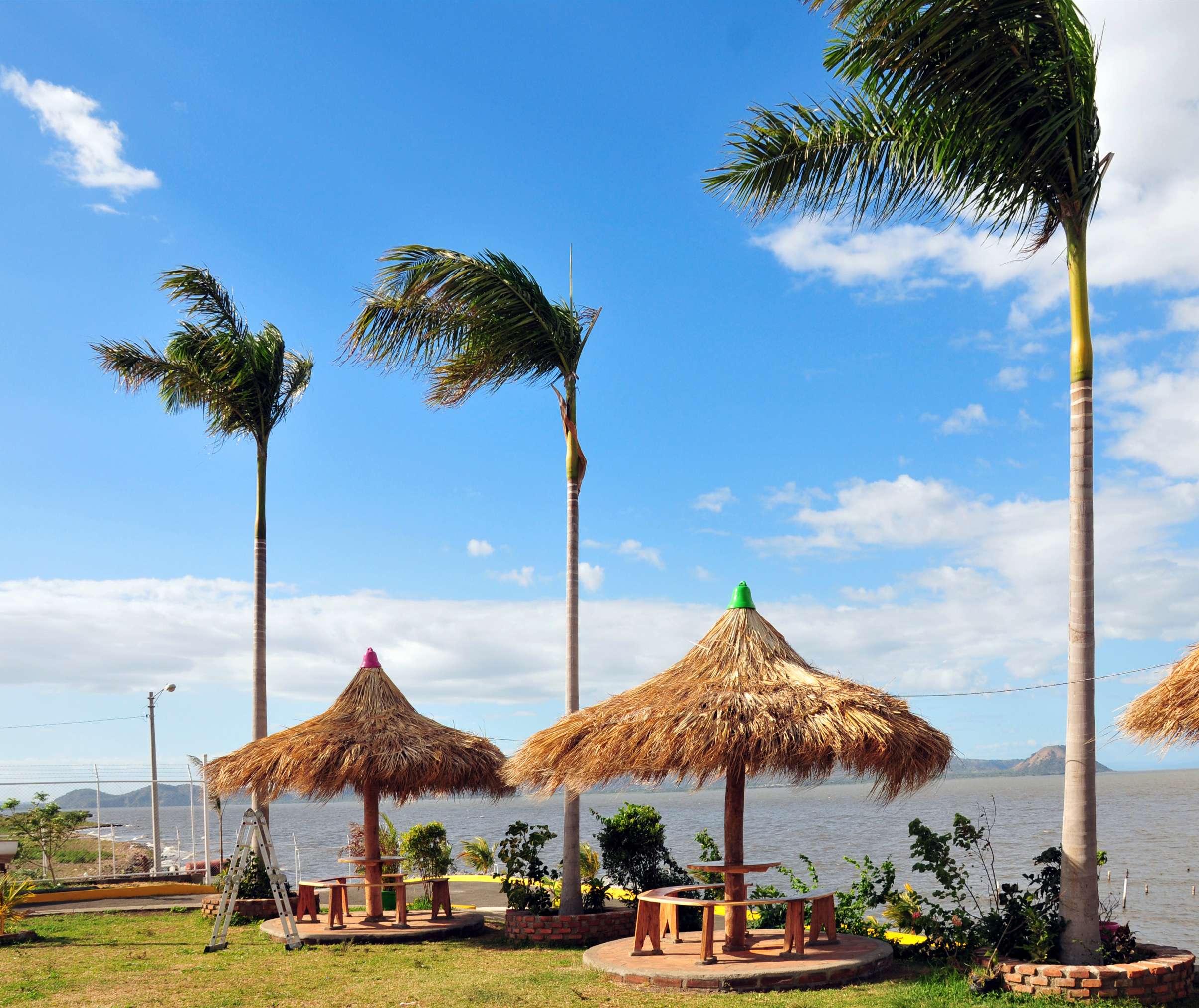 Cocotiers et tables de picnic au bord du Lac de Managua.