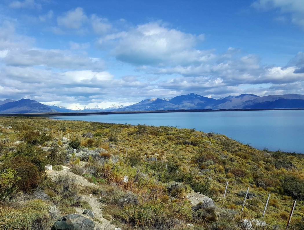 steppe et lac Argentino à El Calafate