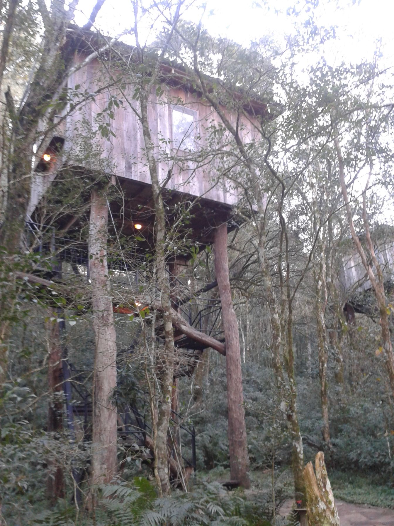 cabane dans les arbres Cuna Piru