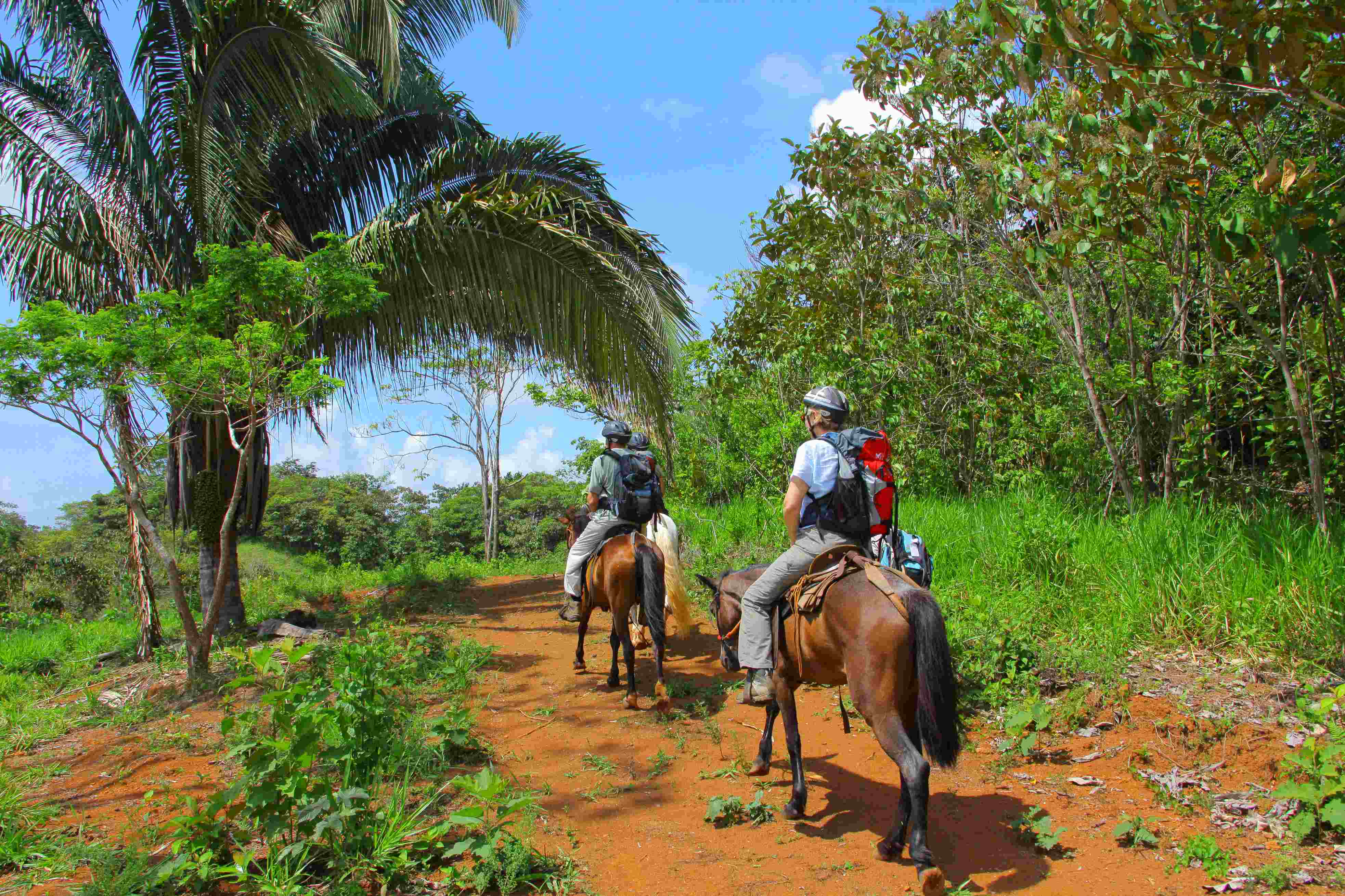 Balade à cheval dans la réserve privée El Salto del Indio, Puntarenas.