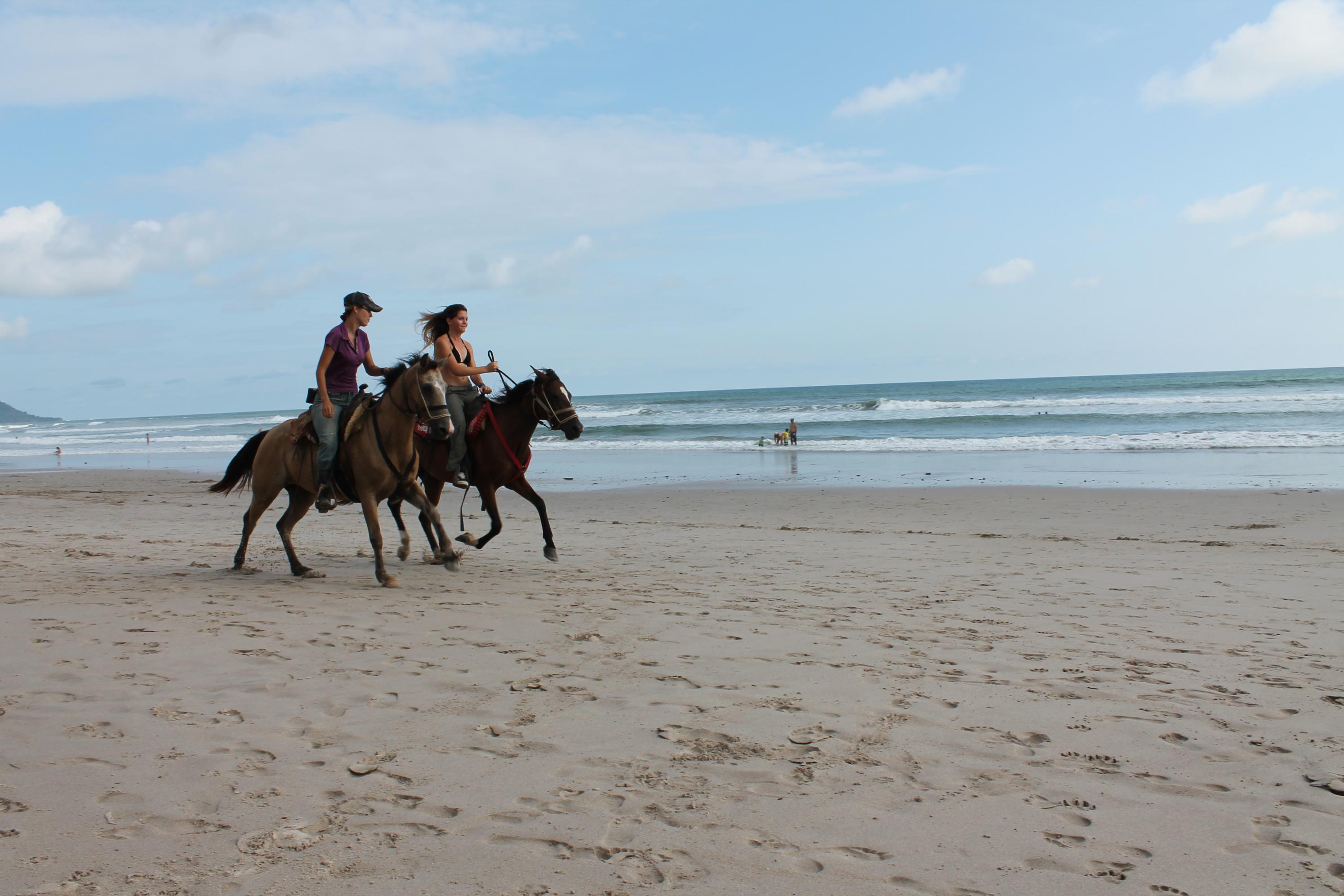 Promenades à cheval sur le Pacifique