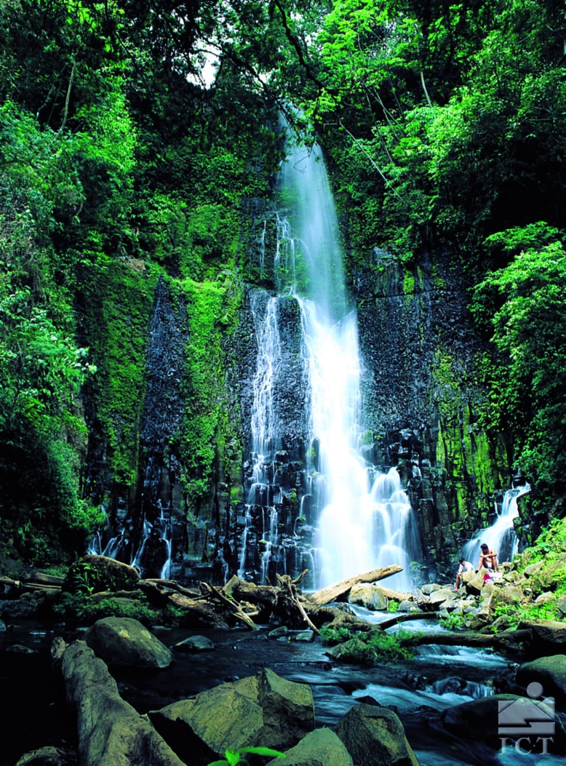 Cascades dans la forêt tropicale de Monteverde