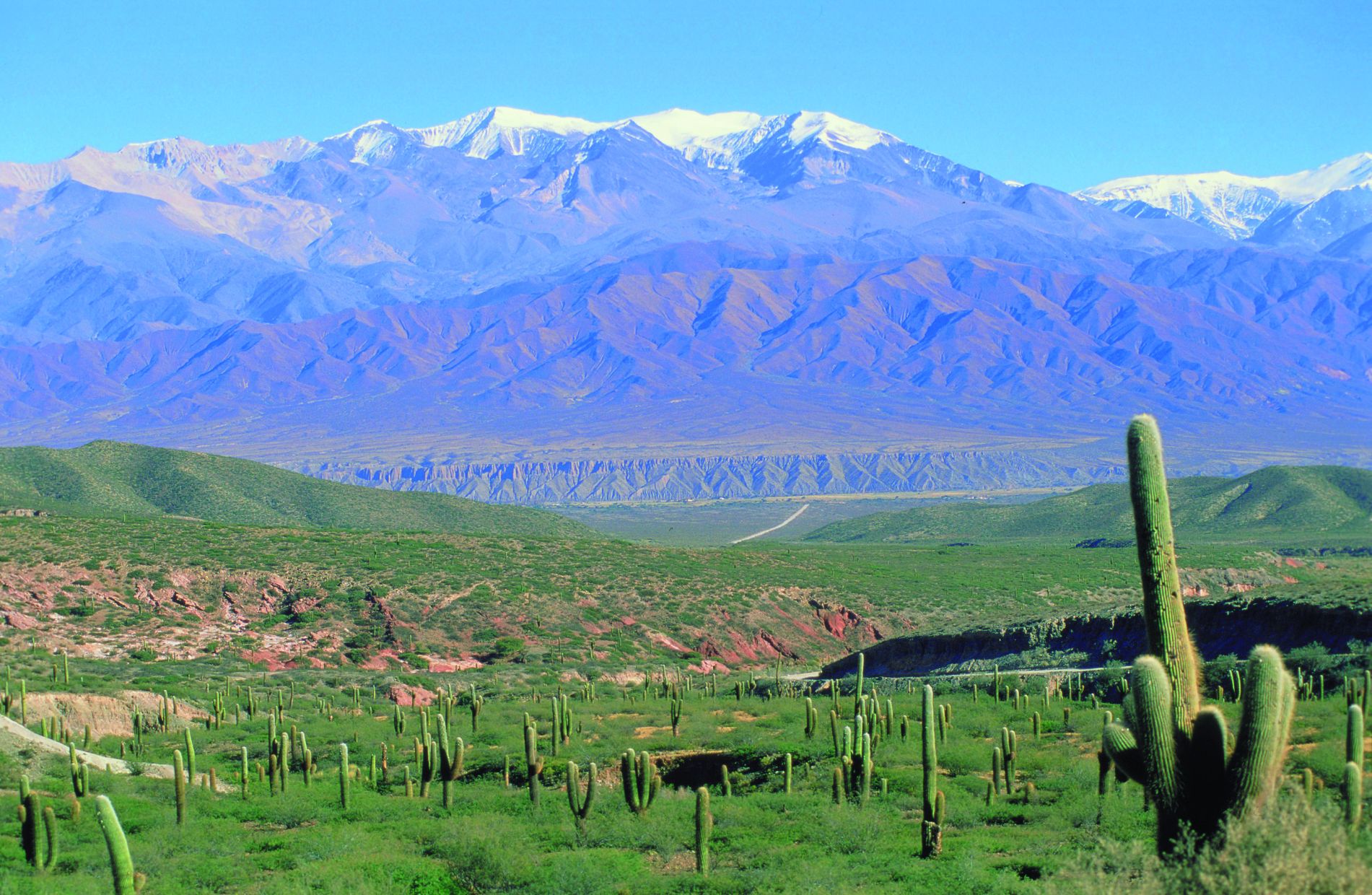 Paysage de la région de Salta.
