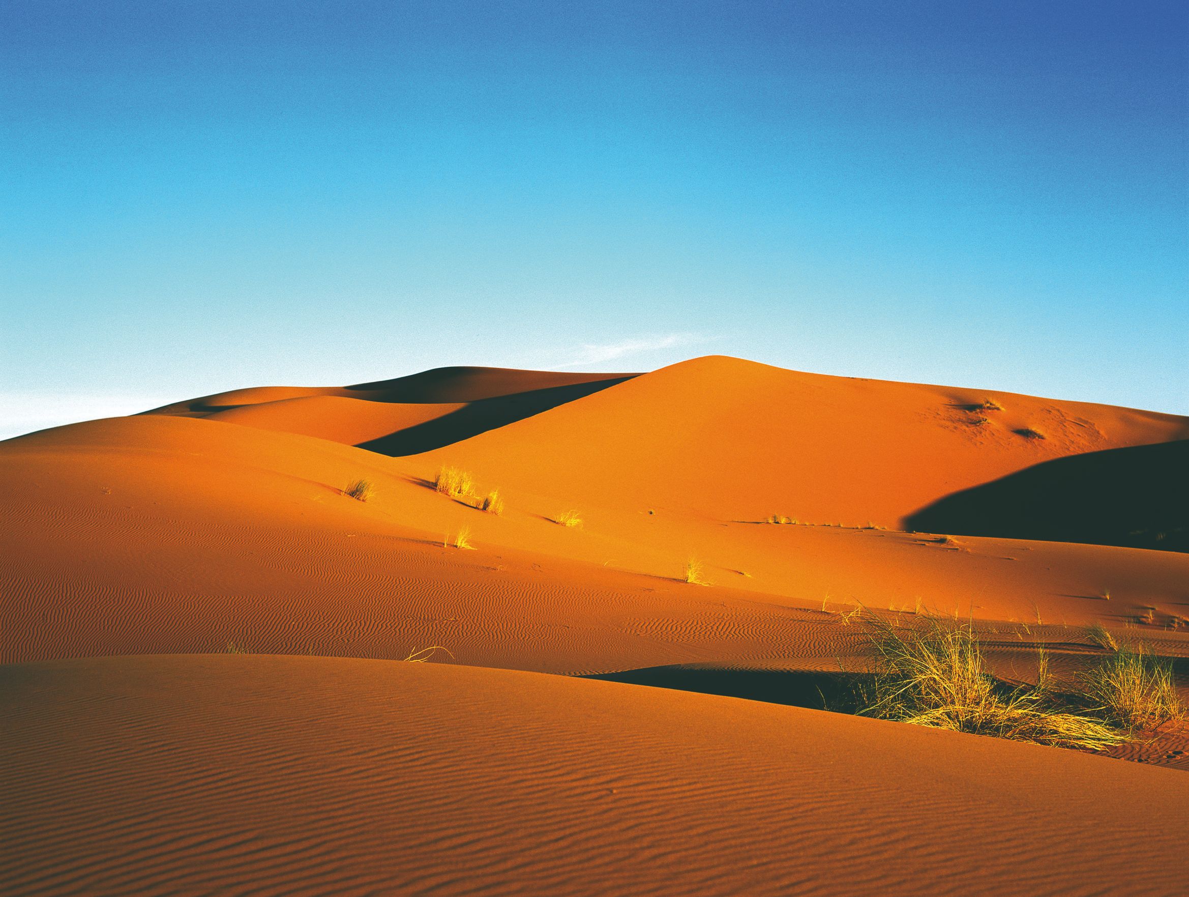 Les dunes de Merzouga.