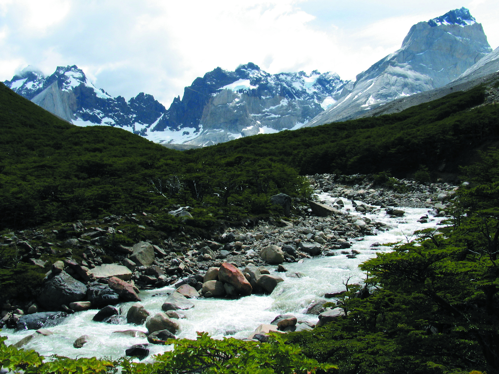 Petit ruisseau dans le Parc national Torres del Paine.