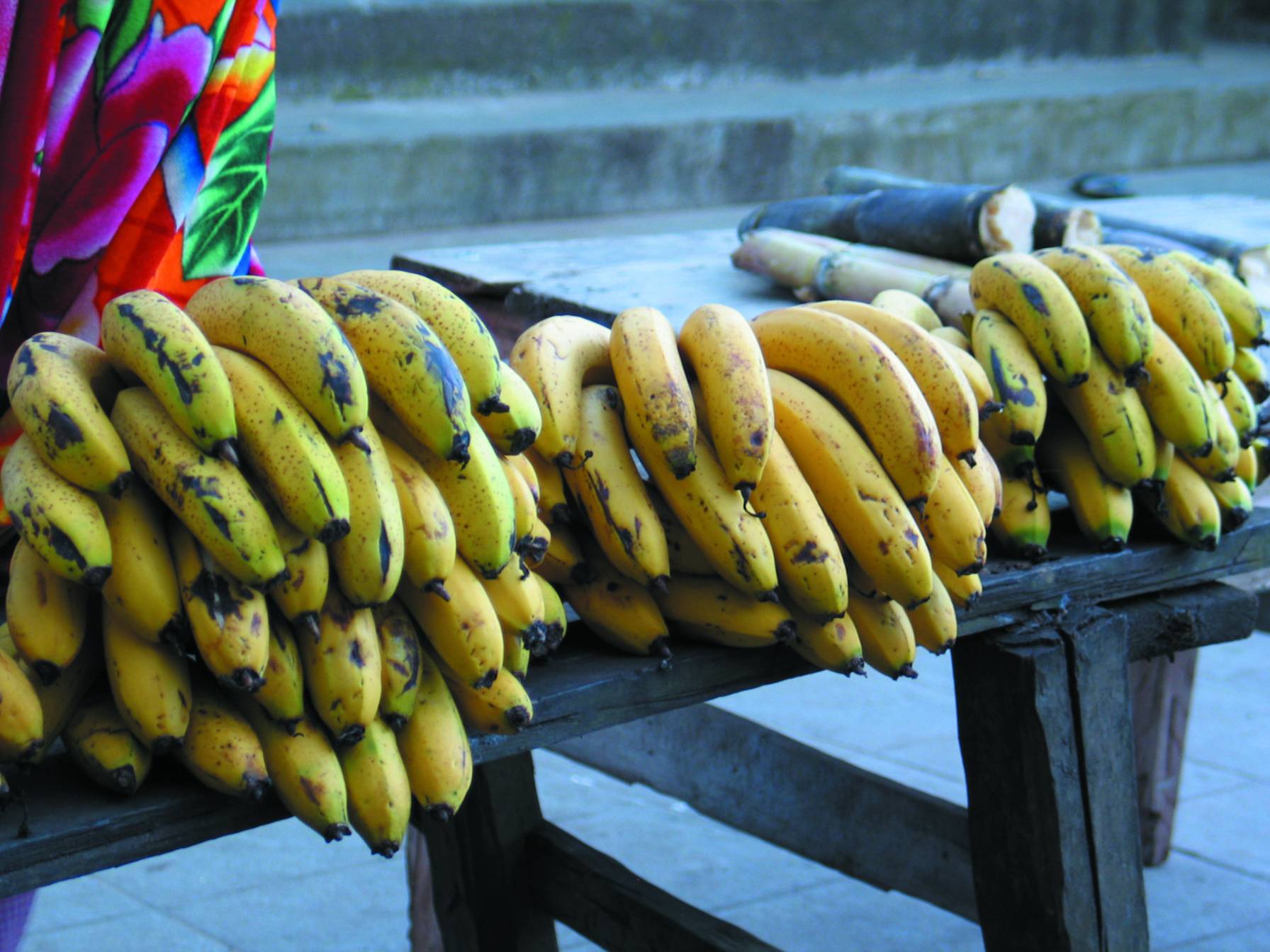 Un autre aliment de base malgache : la banane