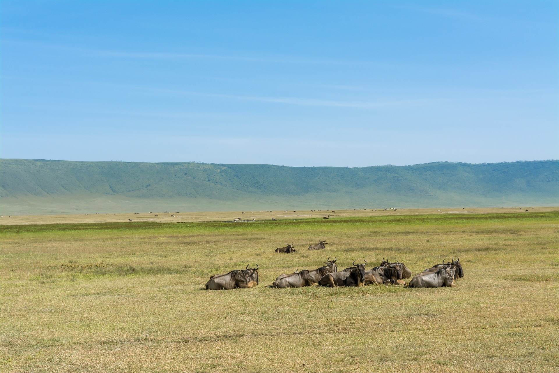 Day4 : Serengeti-Ngorongoro Crater-Mto Wa Mbu Town
