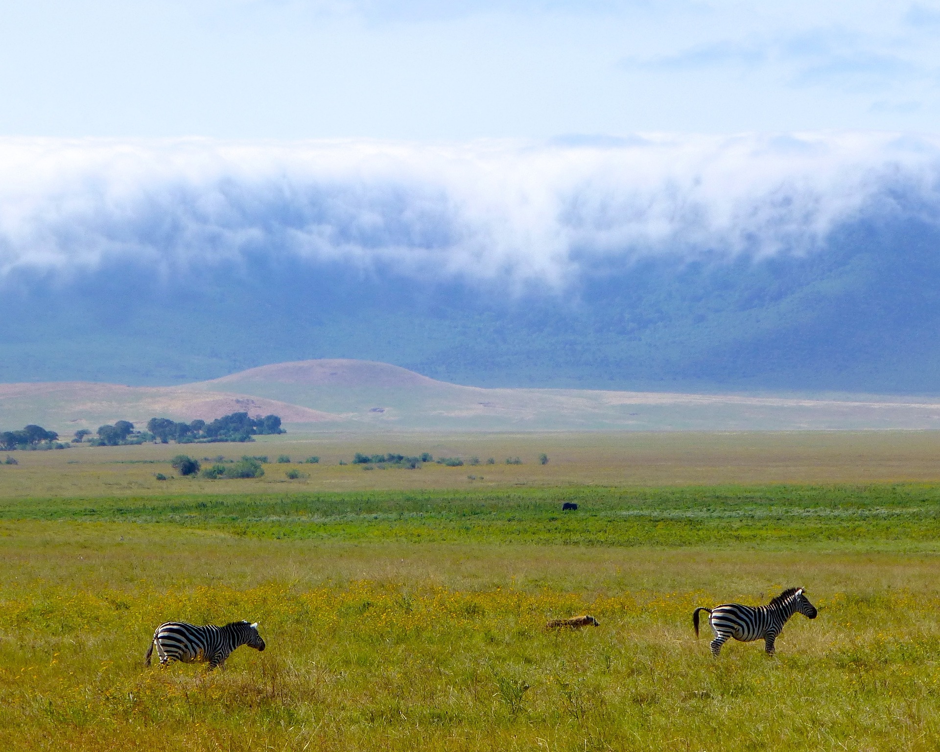 Jour2 : Hauts plateaux du Ngorongoro-Parc national du Serengeti